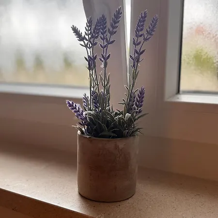 Noa Natura Apartman *